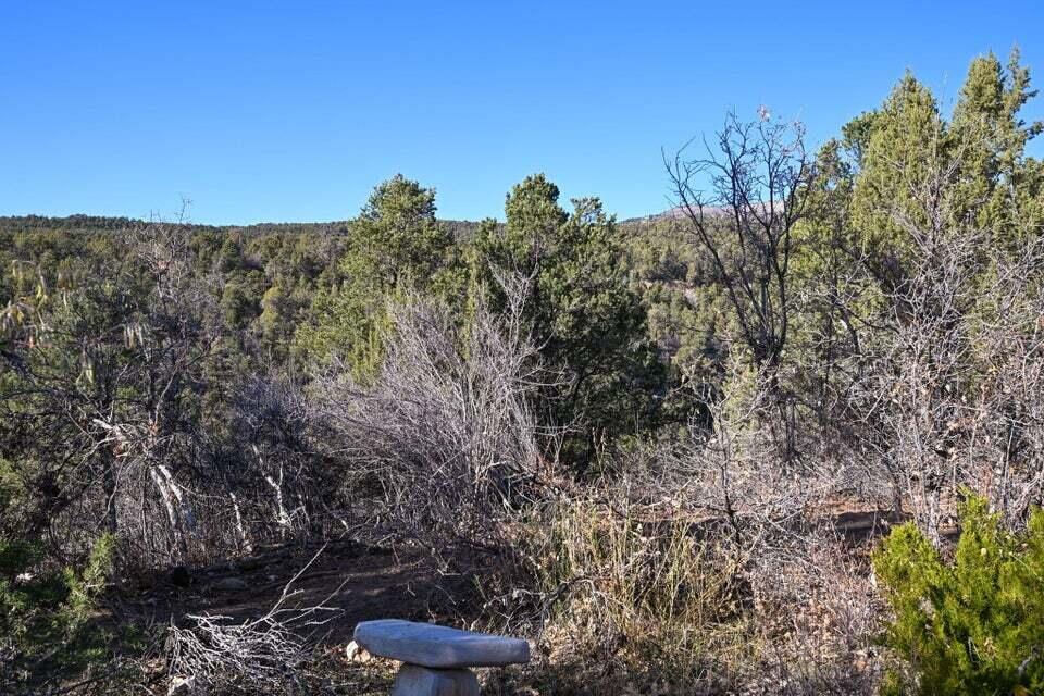 6 S North Fork (Series 1) RD, Orderville, photo 43 of 78