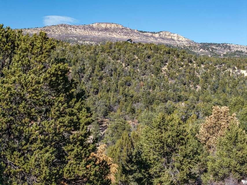 6 S North Fork (Series 1) RD, Orderville, photo 48 of 78
