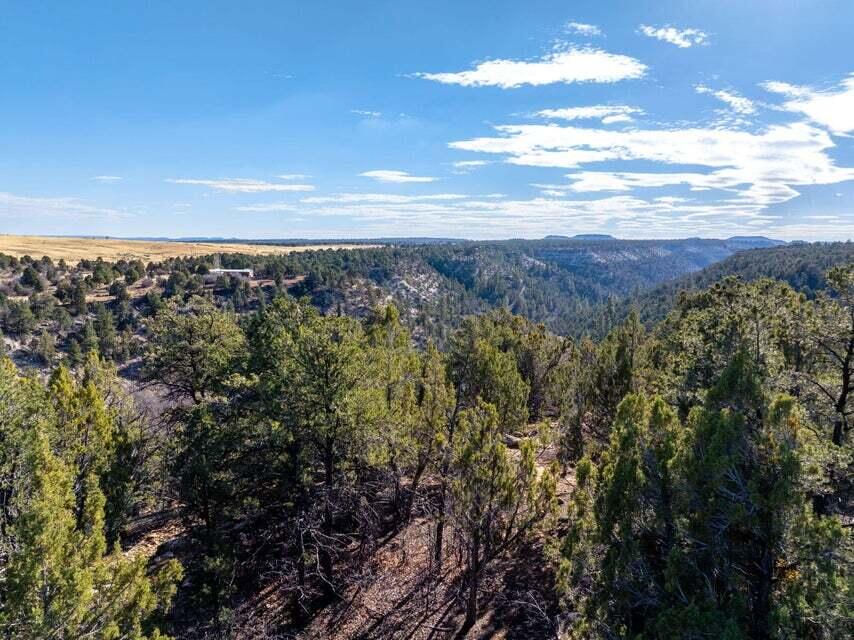 6 S North Fork (Series 1) RD, Orderville, photo 49 of 78