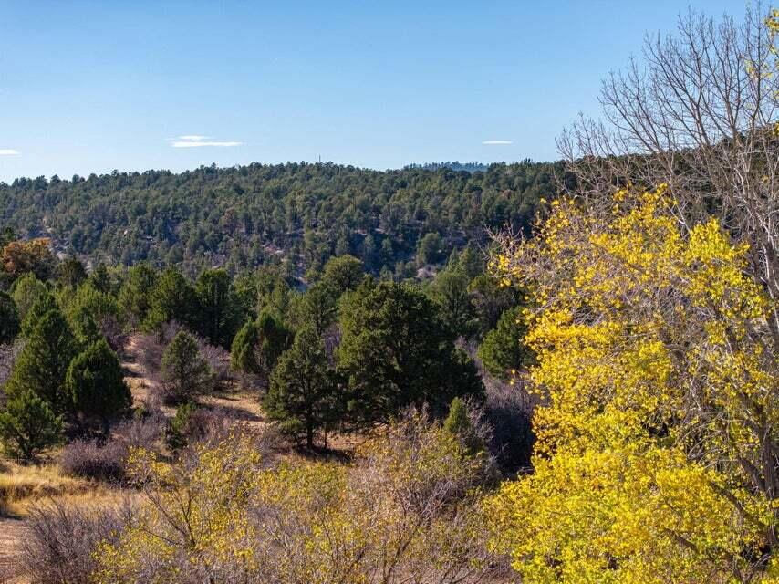 6 S North Fork (Series 1) RD, Orderville, photo 56 of 78