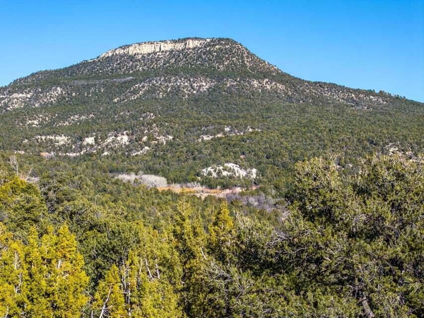 6 S North Fork (Series 1) RD, Orderville, photo 76 of 78