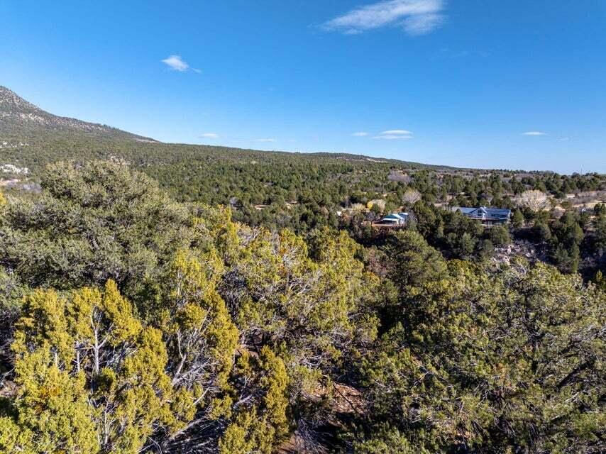 6 S North Fork (Series 1) RD, Orderville, photo 77 of 78