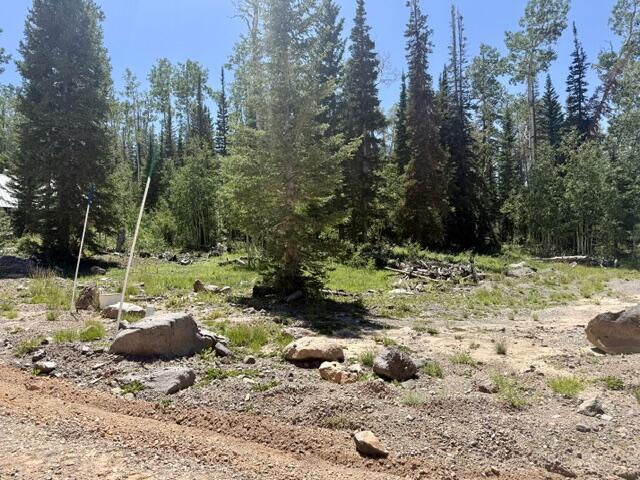 263 Hidden Lake RD, Lot #5, Brian Head, photo 5 of 10