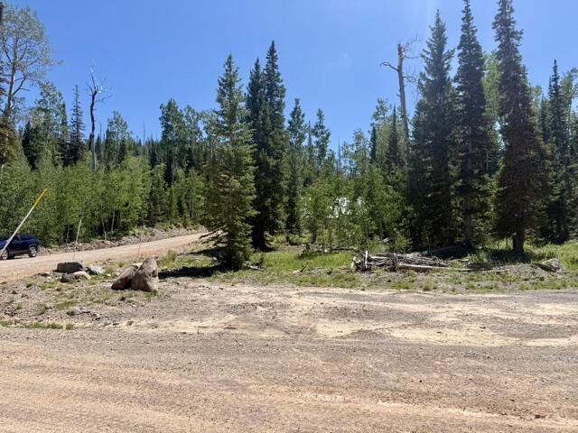 263 Hidden Lake RD, Lot #5, Brian Head, photo 6 of 10