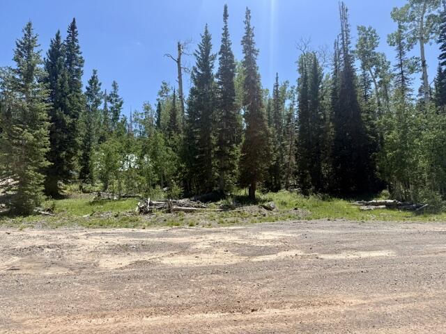 263 Hidden Lake RD, Lot #5, Brian Head, photo 7 of 10
