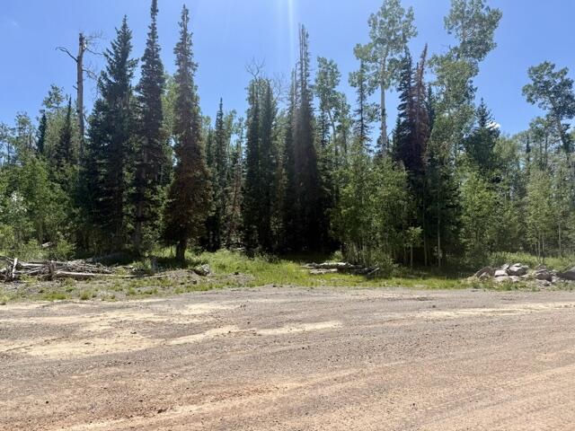 263 Hidden Lake RD, Lot #5, Brian Head, photo 8 of 10