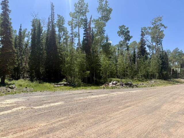 263 Hidden Lake RD, Lot #5, Brian Head, photo 9 of 10