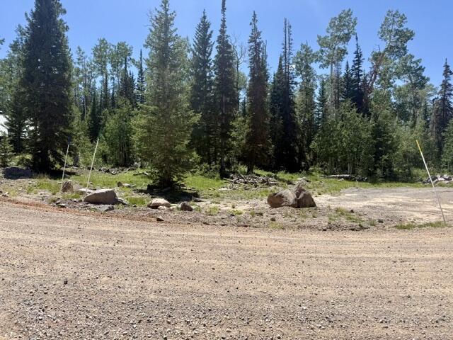 263 Hidden Lake RD, Lot #5, Brian Head, photo 10 of 10
