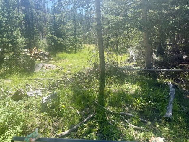 107 S Quill RD, Lot 19, Brian Head, photo 2