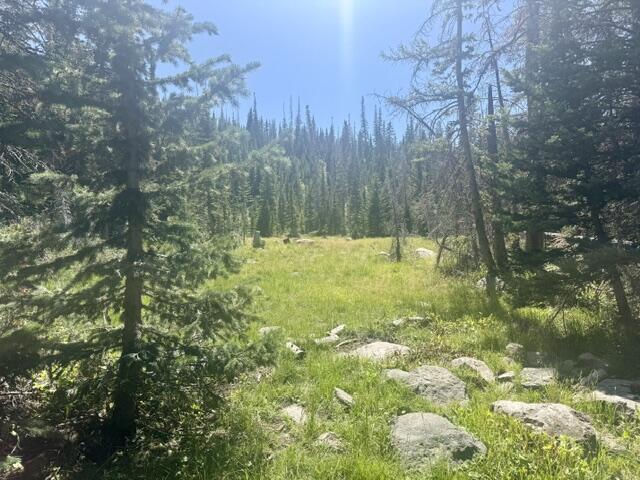 107 S Quill RD, Lot 19, Brian Head, photo 3