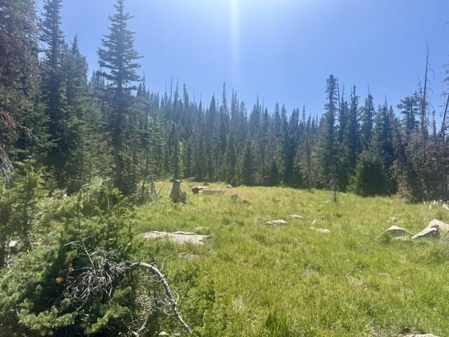 107 S Quill RD, Lot 19, Brian Head, photo 4 of 19