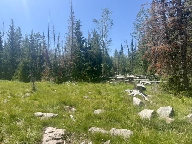 107 S Quill RD, Lot 19, Brian Head, photo 5 of 19