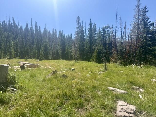 107 S Quill RD, Lot 19, Brian Head, photo 6 of 19