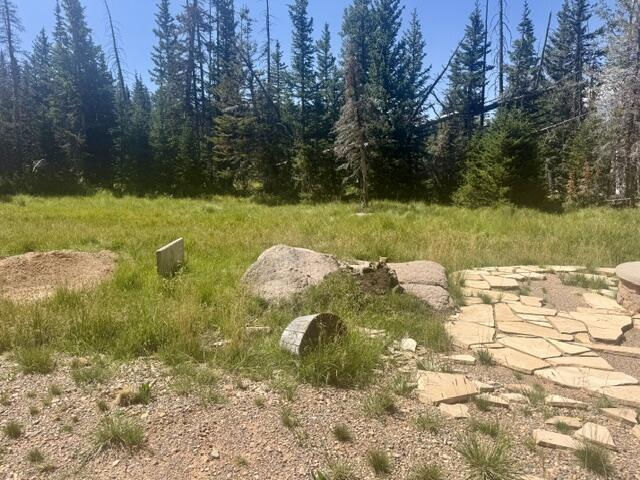 107 S Quill RD, Lot 19, Brian Head, photo 11 of 19