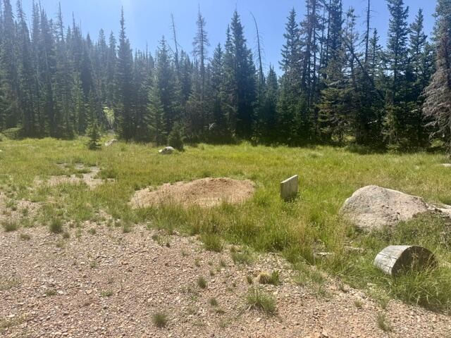 107 S Quill RD, Lot 19, Brian Head, photo 12 of 19