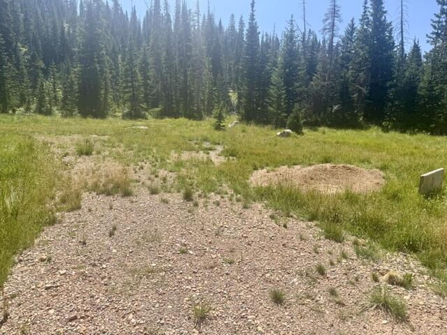 107 S Quill RD, Lot 19, Brian Head, photo 13 of 19