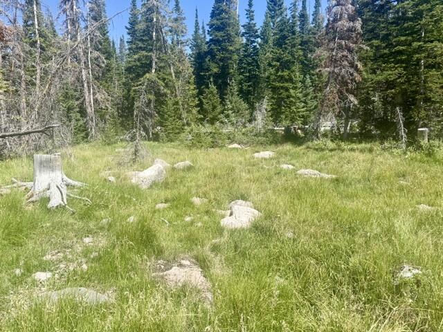 107 S Quill RD, Lot 19, Brian Head, photo 16 of 19