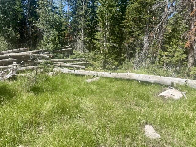 107 S Quill RD, Lot 19, Brian Head, photo 17 of 19
