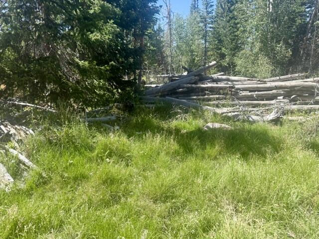 107 S Quill RD, Lot 19, Brian Head, photo 18 of 19