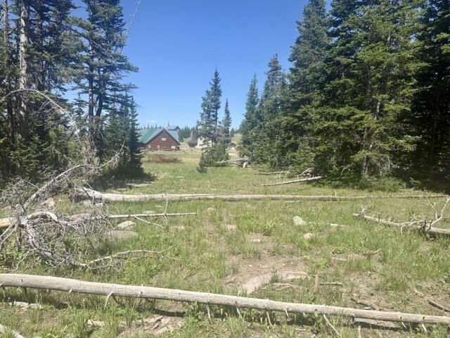 107 S Quill RD, Lot 19, Brian Head, photo 19 of 19