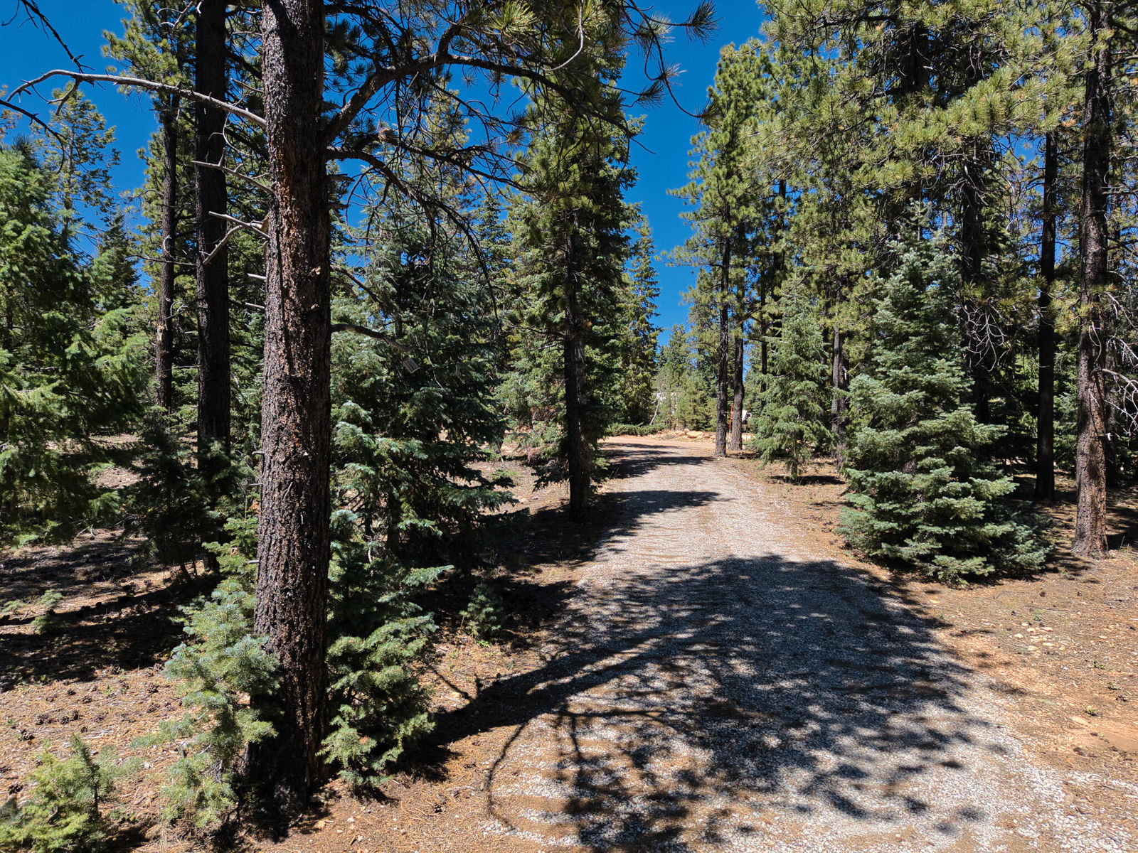 2995 N Smith and Wesson CIR, Duck Creek Village, photo 59 of 68