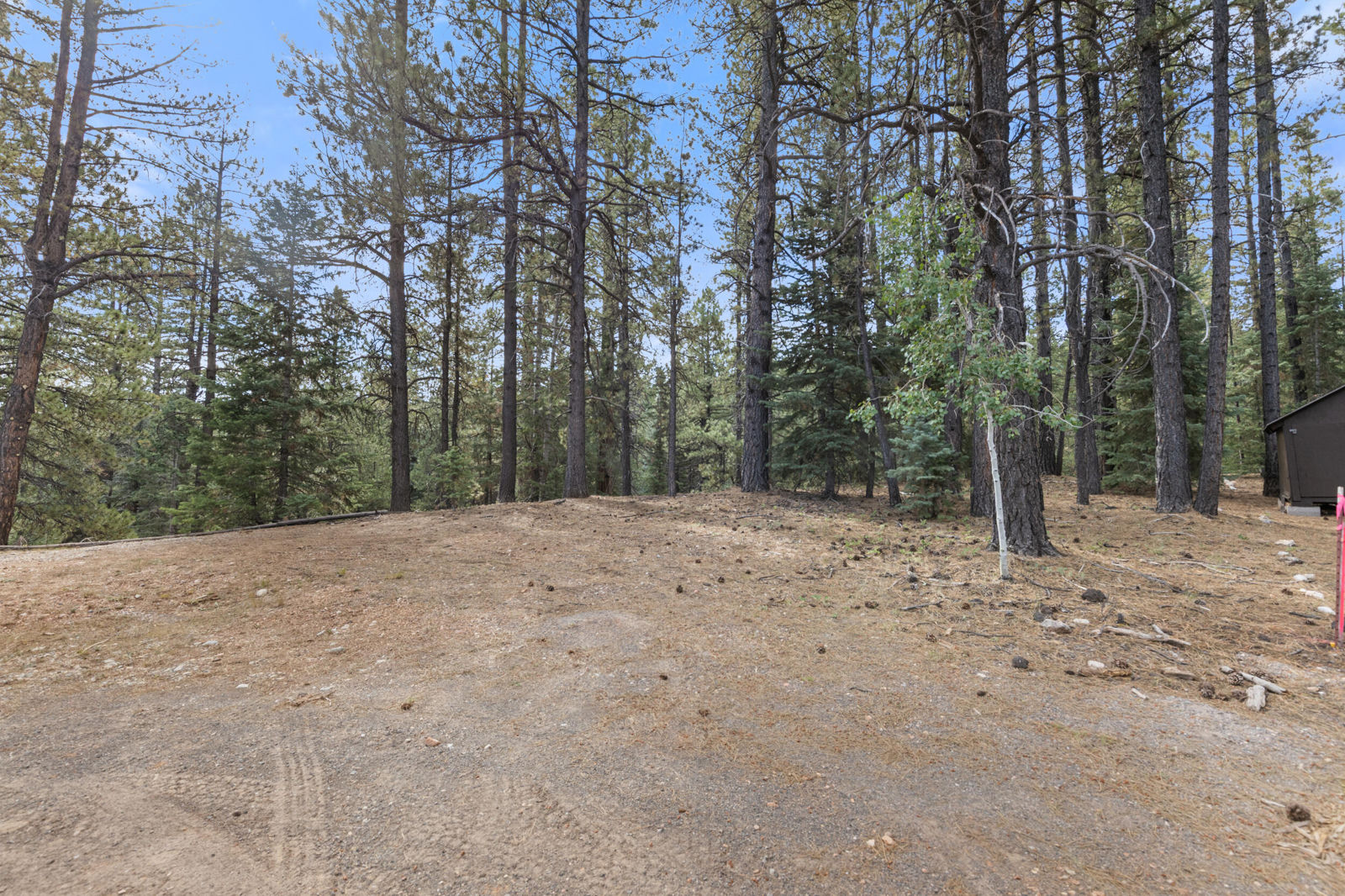 20 Pinetree Trail, Duck Creek Village, photo 4 of 13