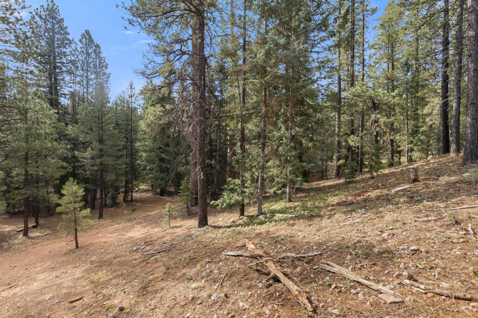 20 Pinetree Trail, Duck Creek Village, photo 5 of 13