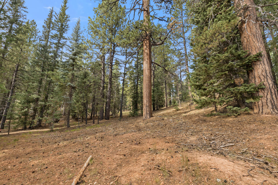 20 Pinetree Trail, Duck Creek Village, photo 3