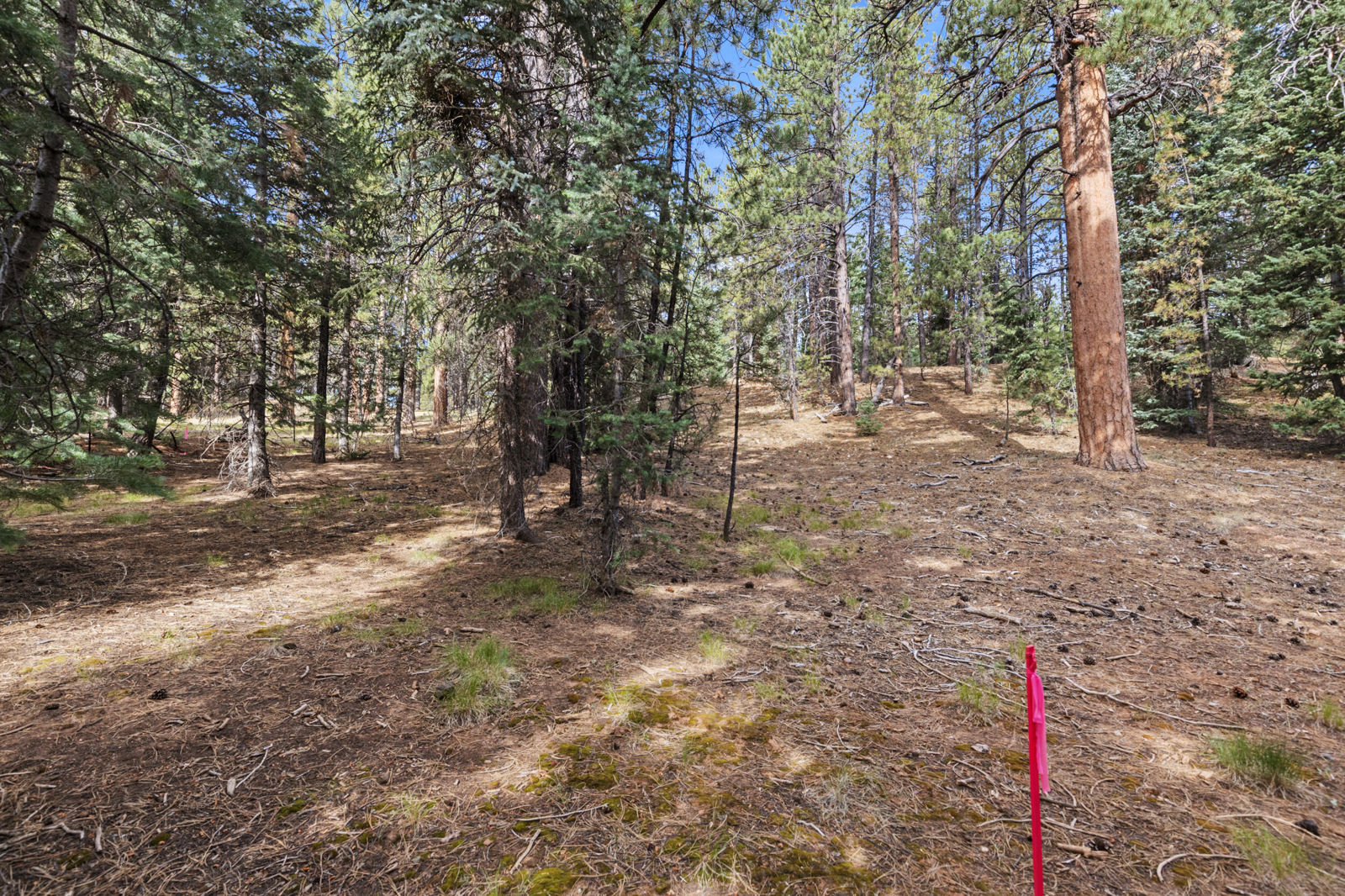 20 Pinetree Trail, Duck Creek Village, photo 2 of 13