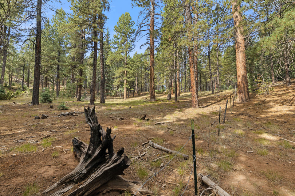 20 Pinetree Trail, Duck Creek Village