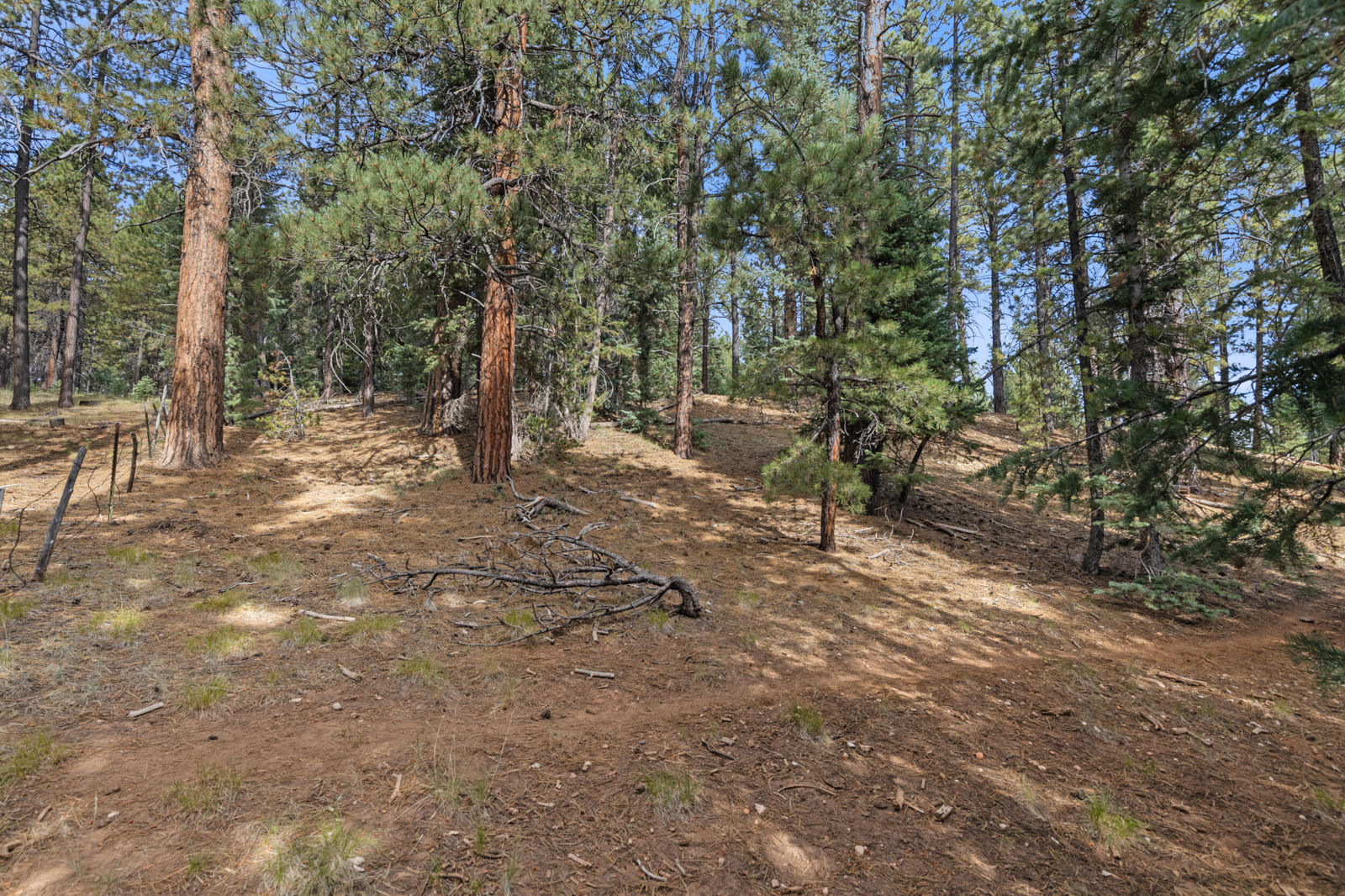 20 Pinetree Trail, Duck Creek Village, photo 6 of 13