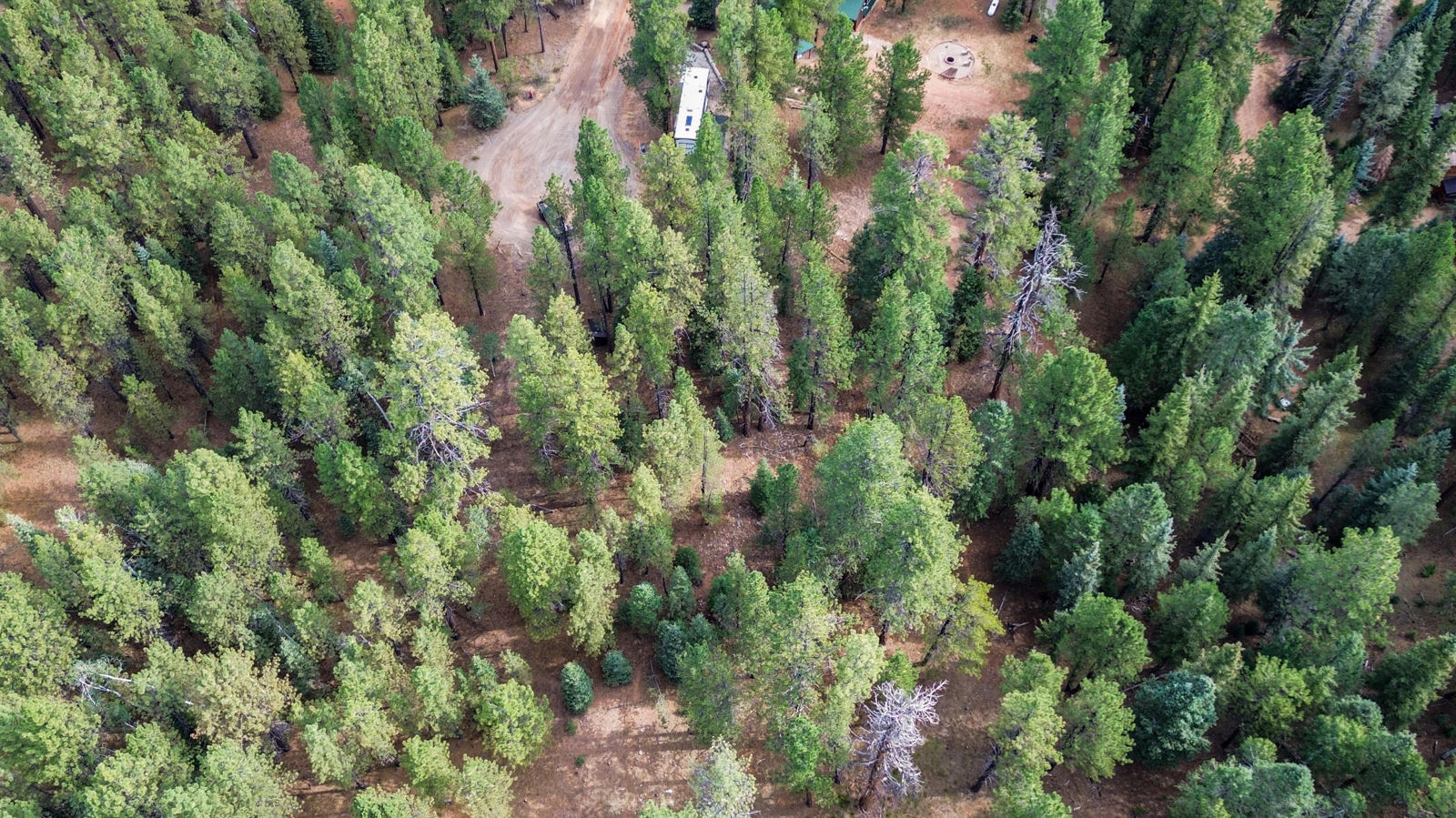 20 Pinetree Trail, Duck Creek Village, photo 11 of 13