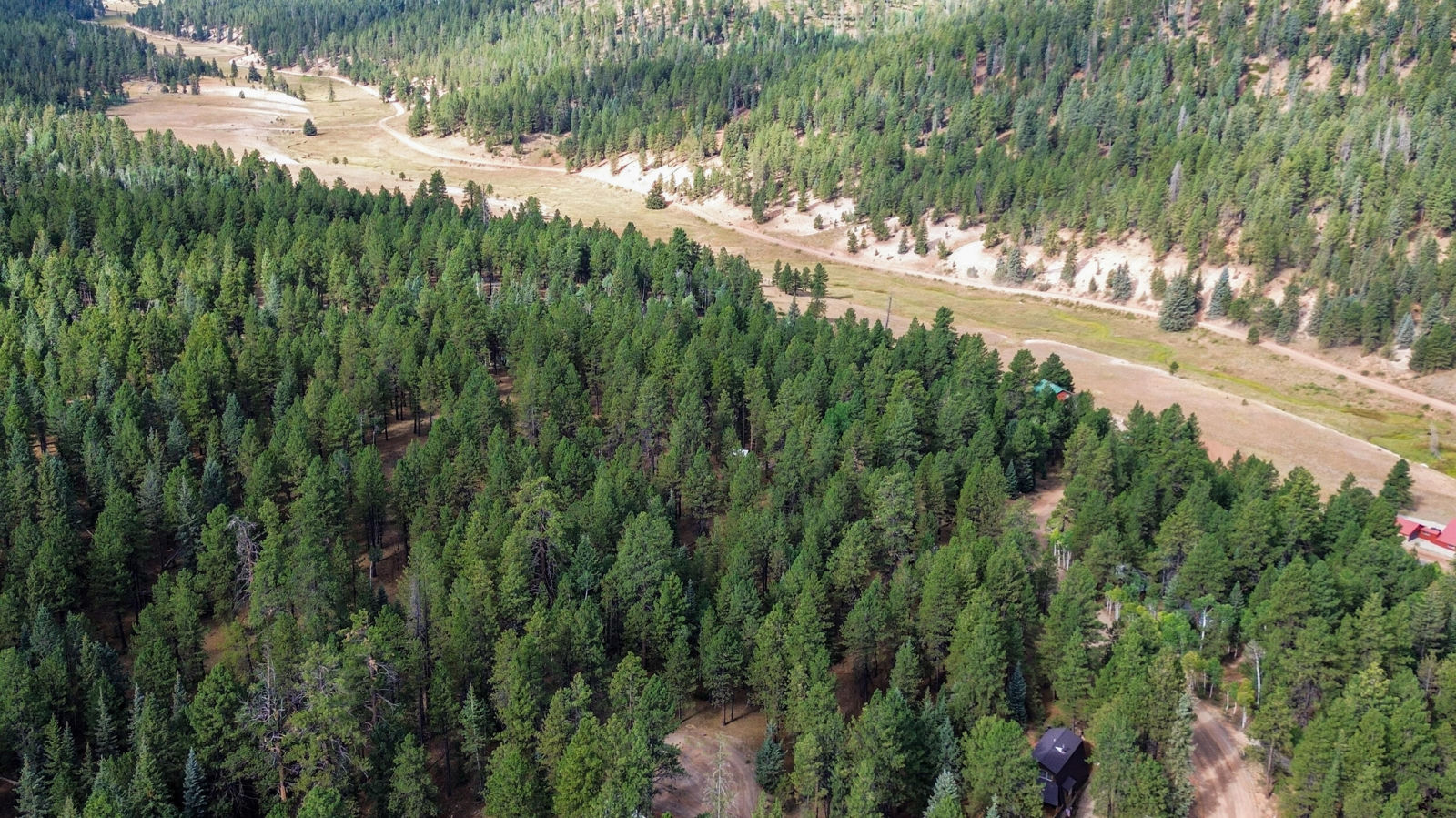 20 Pinetree Trail, Duck Creek Village, photo 12 of 13