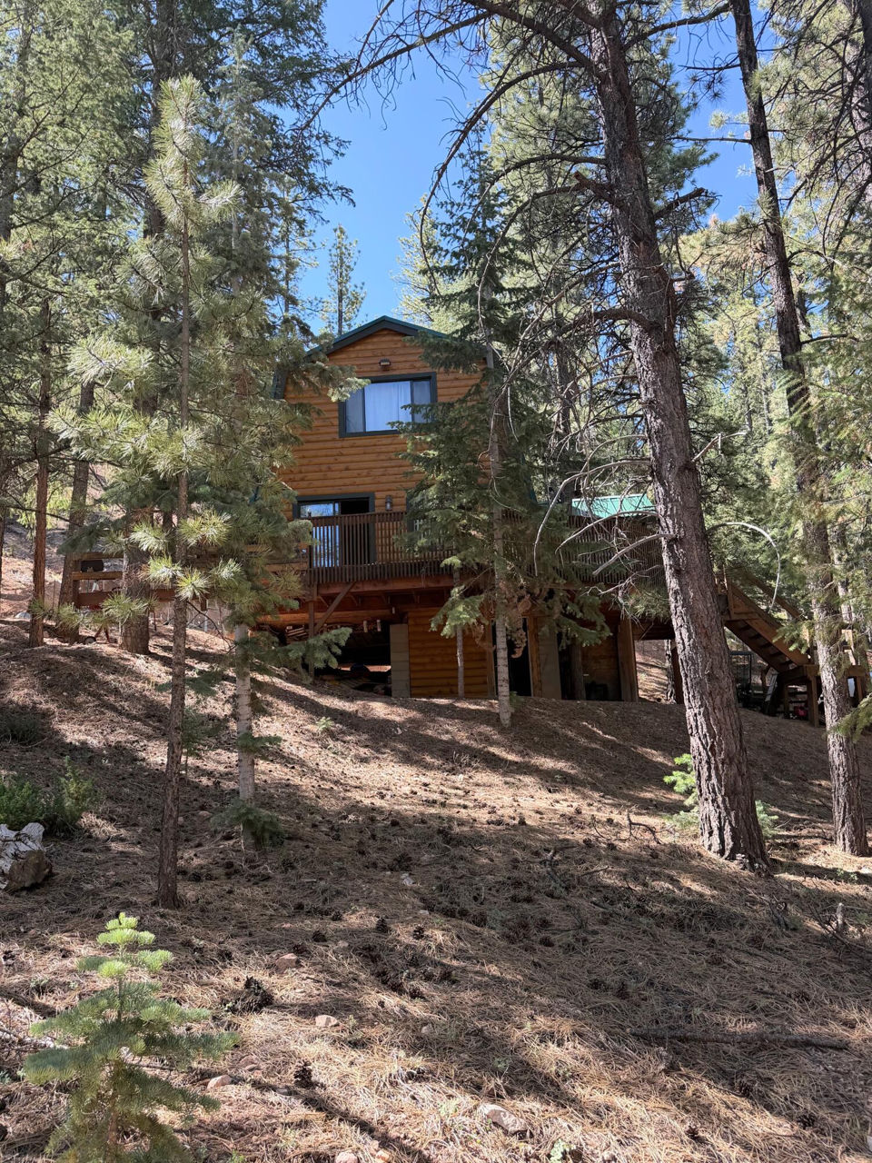67 W Creek LN, 53 Creek Ln, Mammoth Creek, photo 2