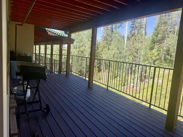 651 S Snowflake RD, 306, Brian Head, photo 34 of 49