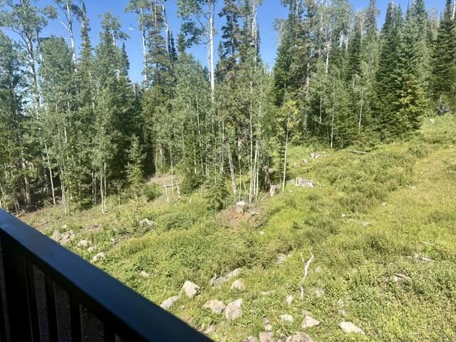 651 S Snowflake RD, 306, Brian Head, photo 39 of 49