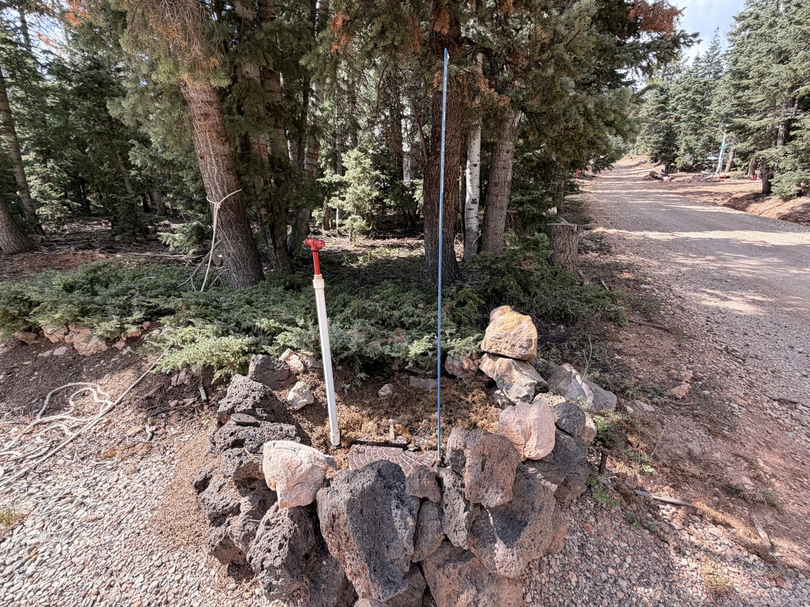 Address withheld at the seller's request, Duck Creek Village, photo 5 of 20