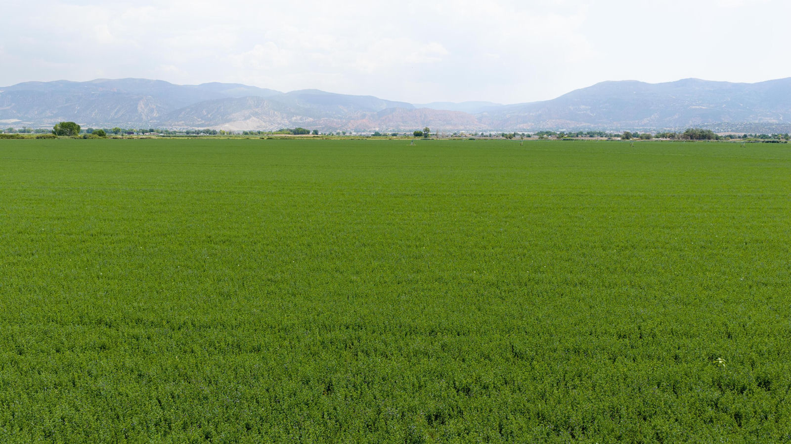 518 Acres 1384 AF Water, 578 Water Share, Cedar City, photo 13 of 28