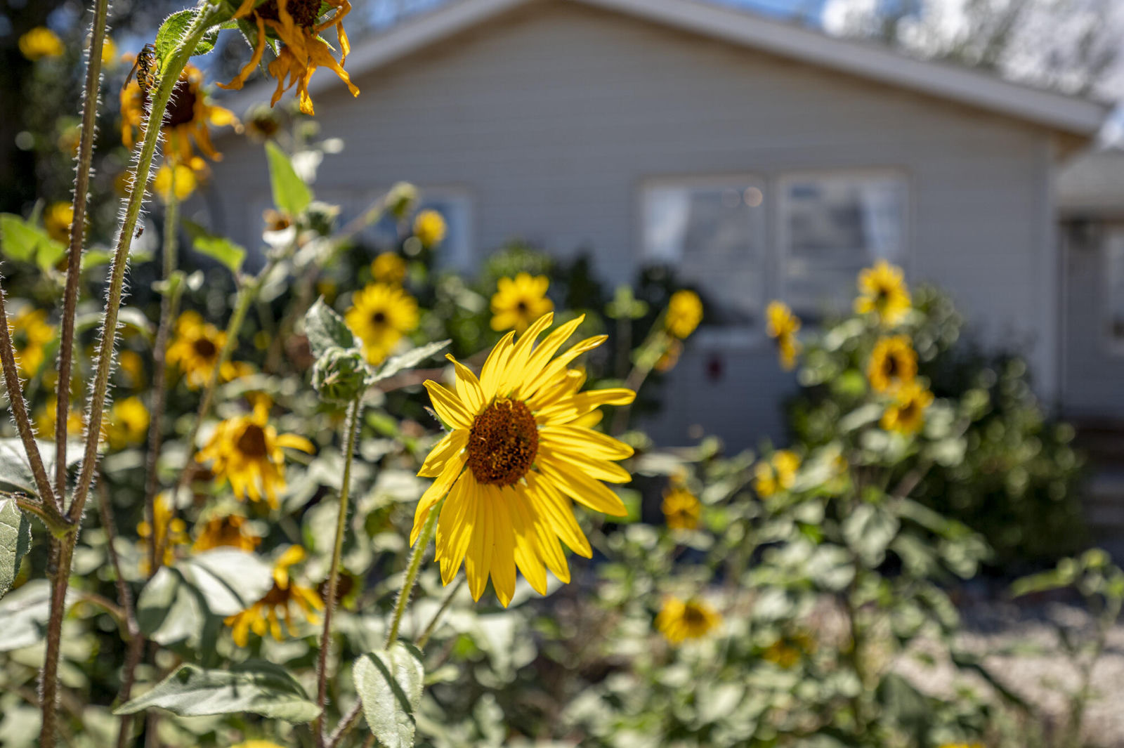 4997 N 3425 W, Cedar City, photo 80 of 108