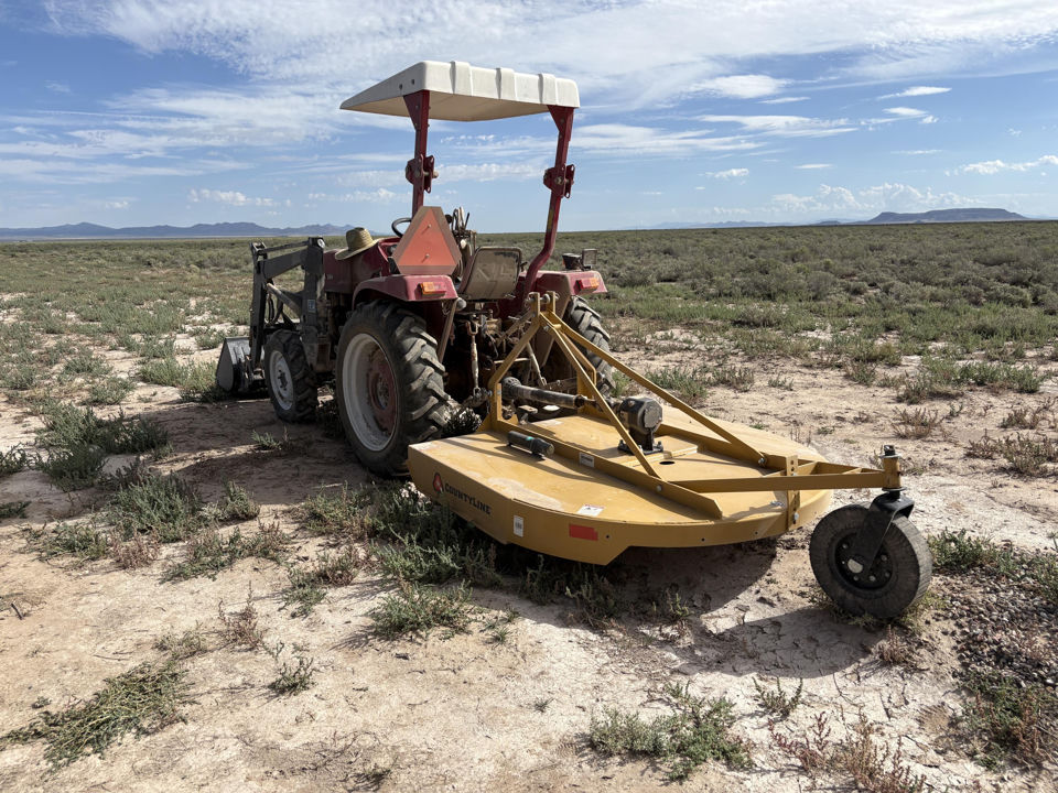 # E-1298-0008-0002, Beryl, photo 2