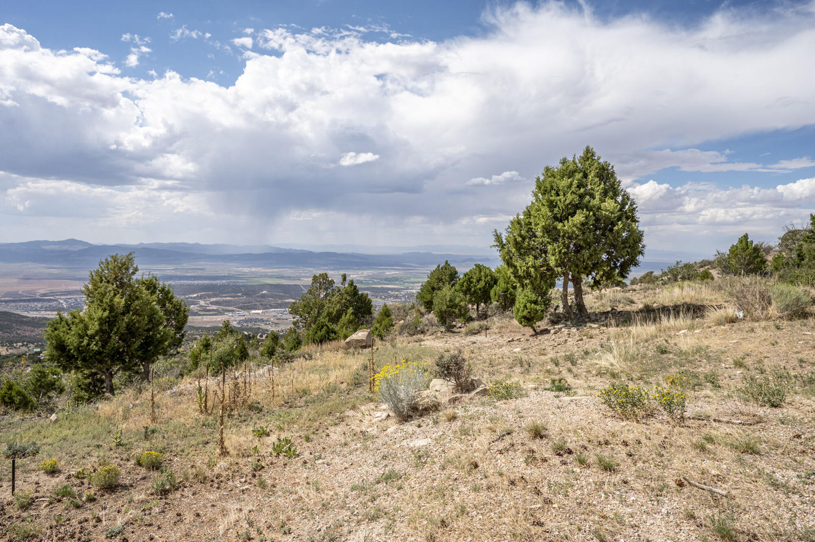 1159 E Cedar Highlands DR, Cedar City, photo 61 of 72