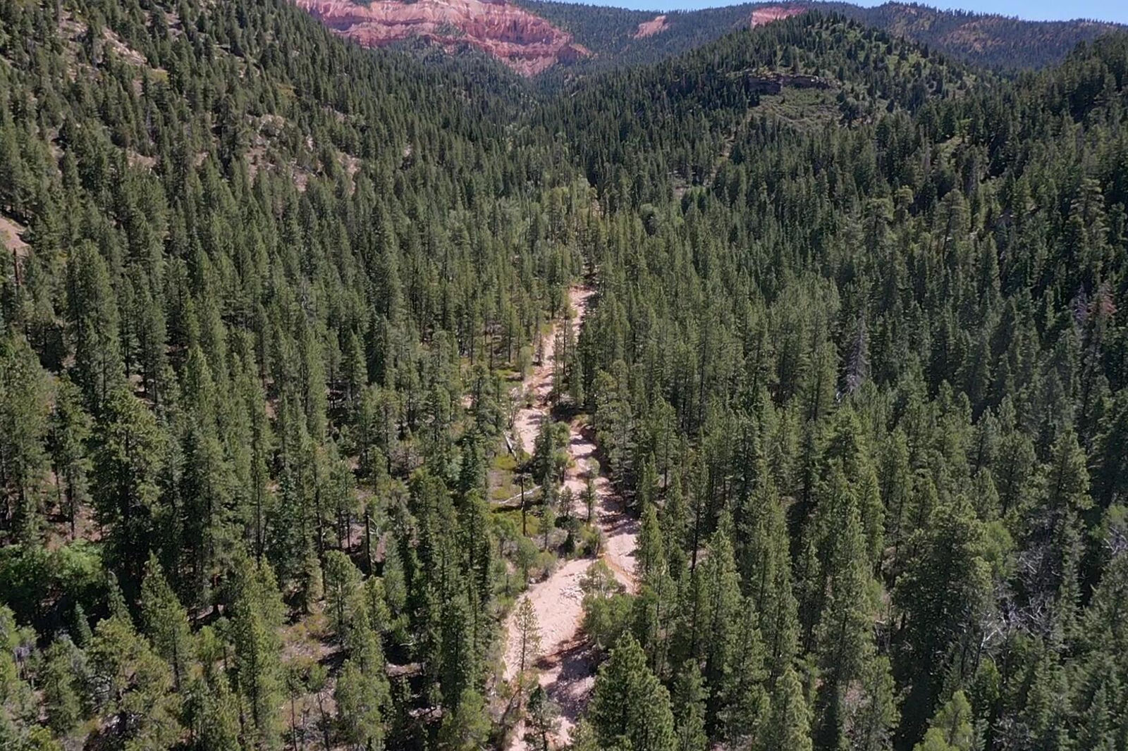 20 Acres Stevens Canyon, Duck Creek Village, photo 48 of 50