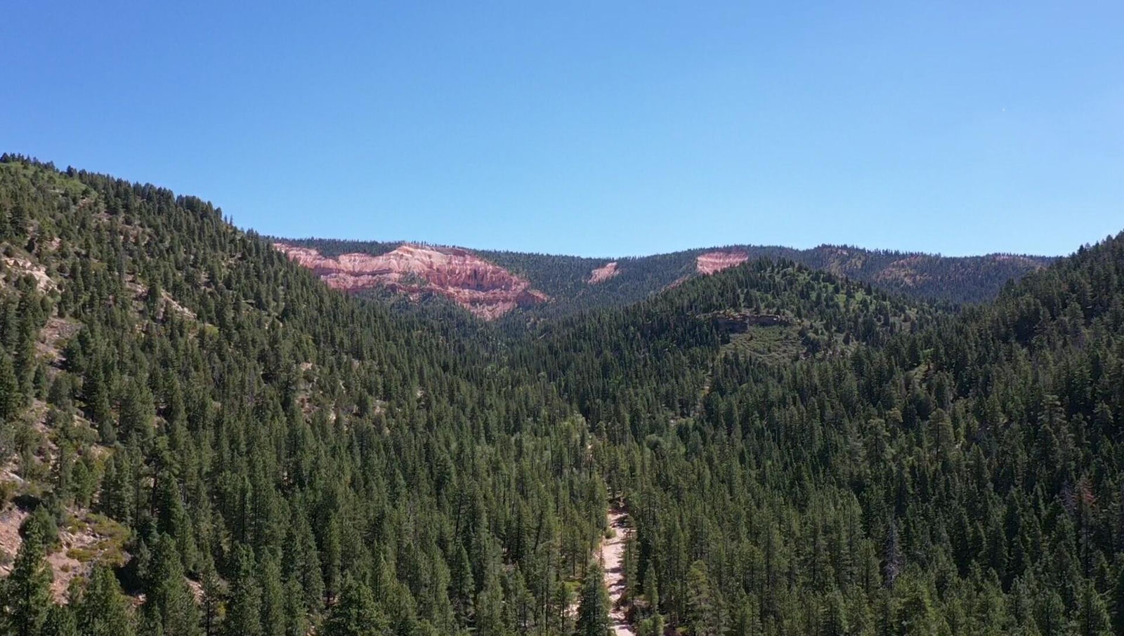 20 Acres Stevens Canyon, Duck Creek Village, photo 5 of 50