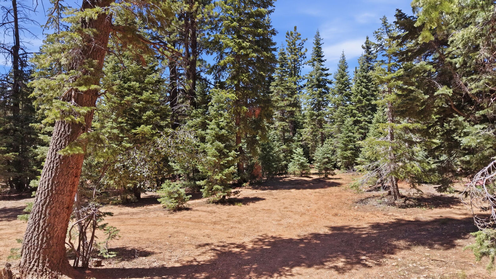 1245, 1225 E Bonanza RD, Duck Creek Village, photo 29 of 35