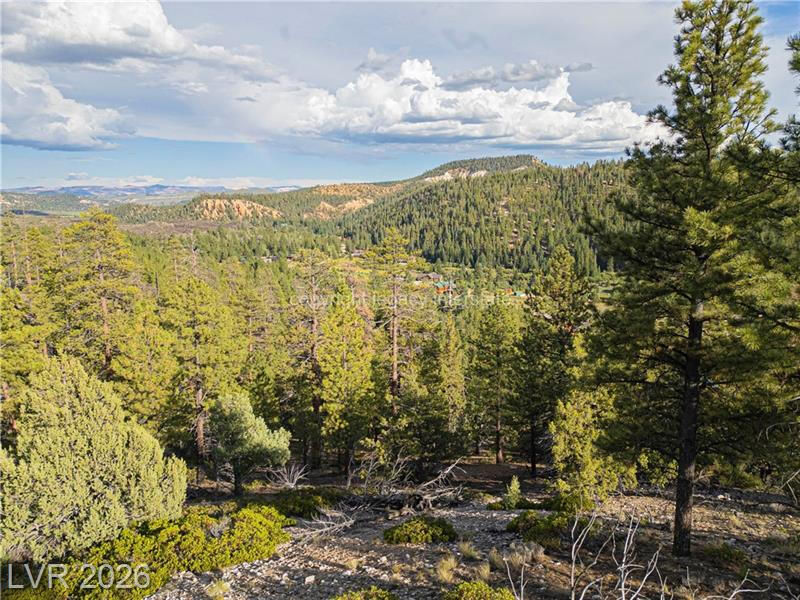 651 E Aspen Meadow DR, Mammoth Creek, photo 60 of 68