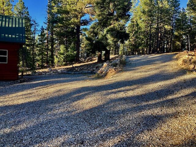 1345 N Ponderosa DR, Duck Creek Village, photo 5 of 41