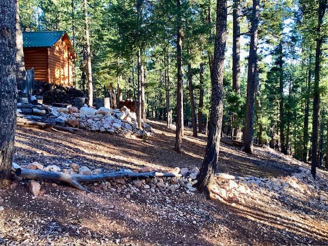 1345 N Ponderosa DR, Duck Creek Village, photo 2