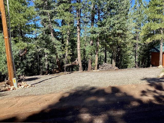 1345 N Ponderosa DR, Duck Creek Village, photo 9 of 41