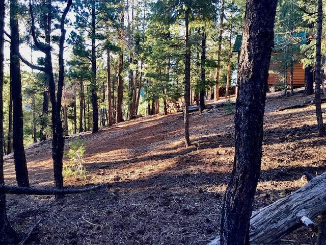 1345 N Ponderosa DR, Duck Creek Village, photo 13 of 41