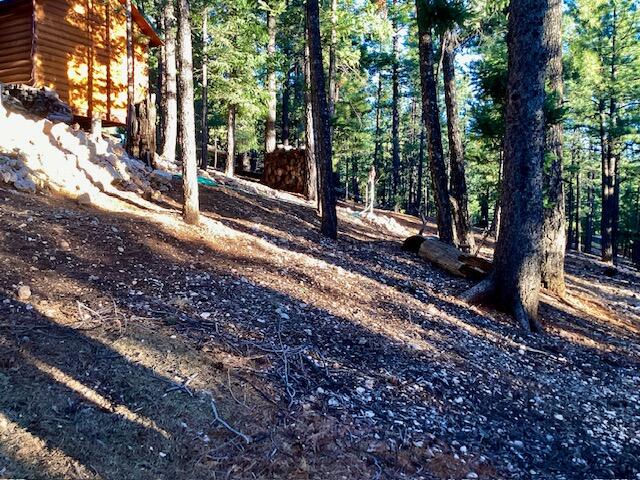 1345 N Ponderosa DR, Duck Creek Village, photo 14 of 41